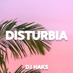 DJ Haks - Disturbia