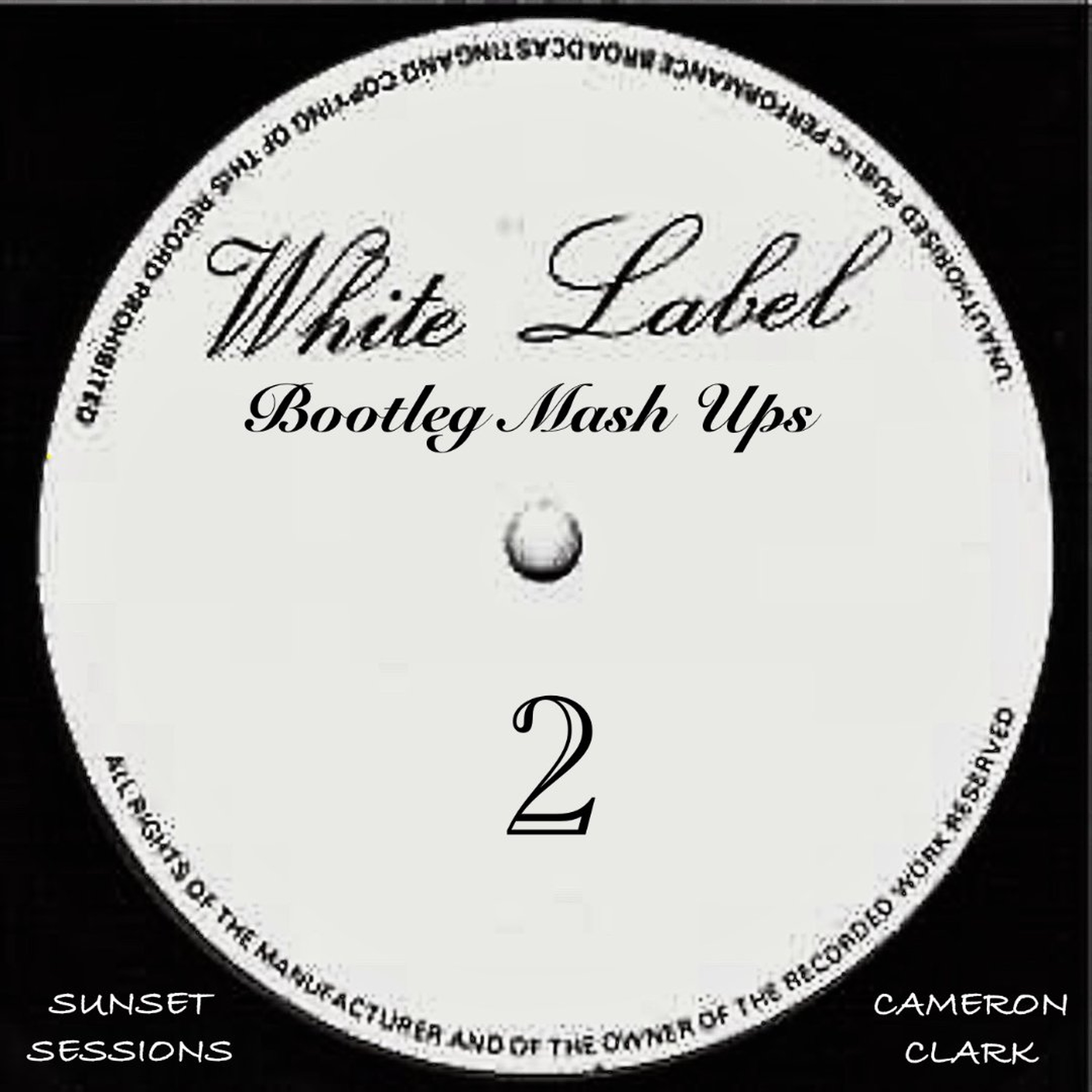 Ep. 155 "WHITE LABEL 2" (Retro, Pop, House, bootleg Vinyl, Classics Mix) episode artwork