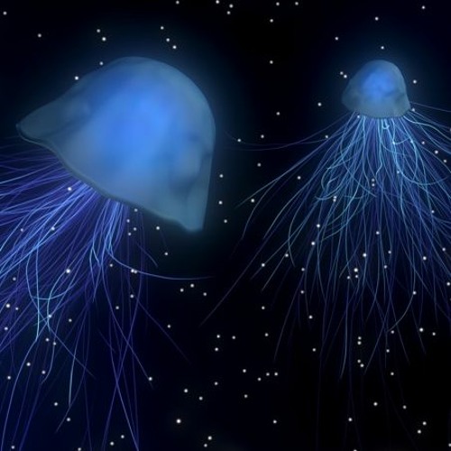 Deepsea / DnB