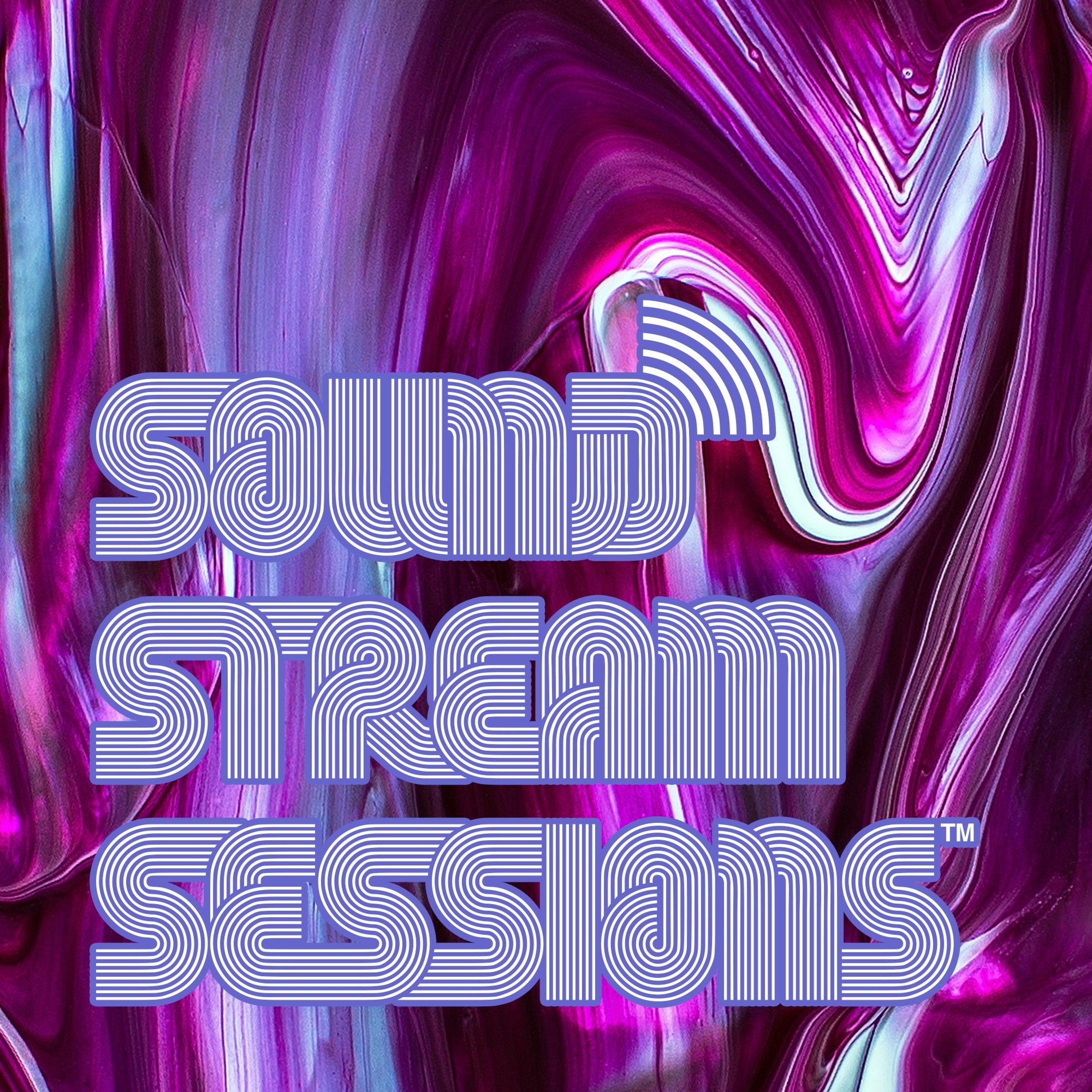 Guest Mix Vol. 57 (Havikk - Sound Stream Sessions) Live Drum and Bass Mix episode artwork