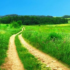 Inwards We walk until we get there☺🌪