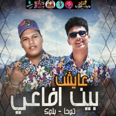 مهرجانات 2021 " مهرجان " عايش بين افاعى ( الكيف اخرتو قطران ) توحا و بلوك