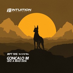 GONCALO M - Like A Mad Dog - Intuition Recordings Pt