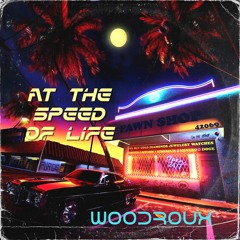 At the speed of life