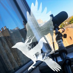 4.21 Barking At Strange Sounds {Improv}