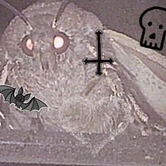 Moths have feelings too