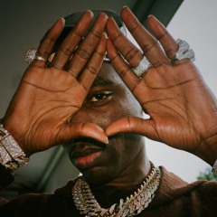 Young Dolph - Facts [SLOWED & REVERBED]