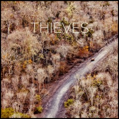 ROLO - Thieves