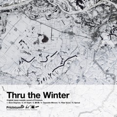 Thru the Winter [PRNI0014] Crossfade Demo
