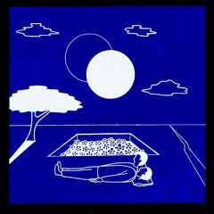 In Bare Branched Sycamore Trees