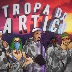 Tropa do Ártico (TDA) Braia