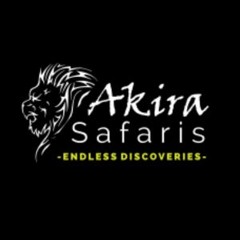 Discover Mombasa's Nocturnal Charm With Akira Safaris