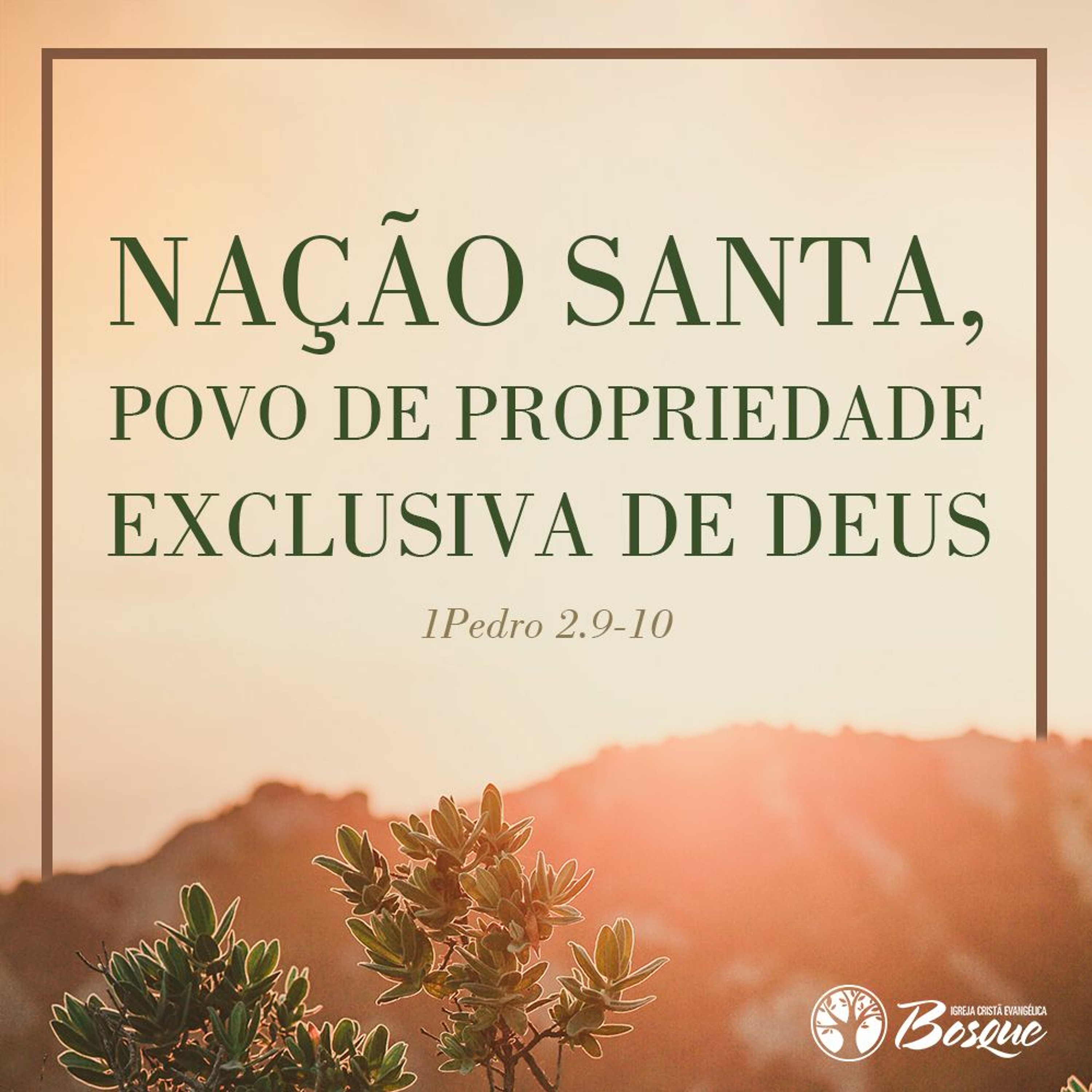 Igreja Cristã Evangélica – Bosque dos Eucaliptos