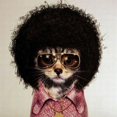 Funkmaster Frank - Funky Feline