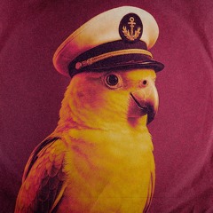 Look at Me, I'm The Captain Now! (Epic Isn't it?)