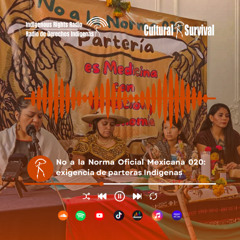 No a la Norma Oficial Mexicana 020: exigencia de parteras Indígenas