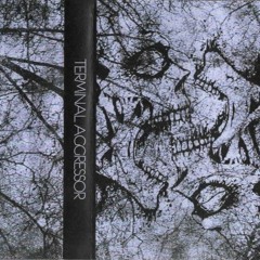 Terminal Aggressor - Dragged Into Sunlight