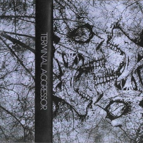 Terminal Aggressor - Dragged Into Sunlight