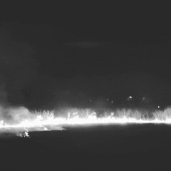 27.FUCKDEMONS - winny