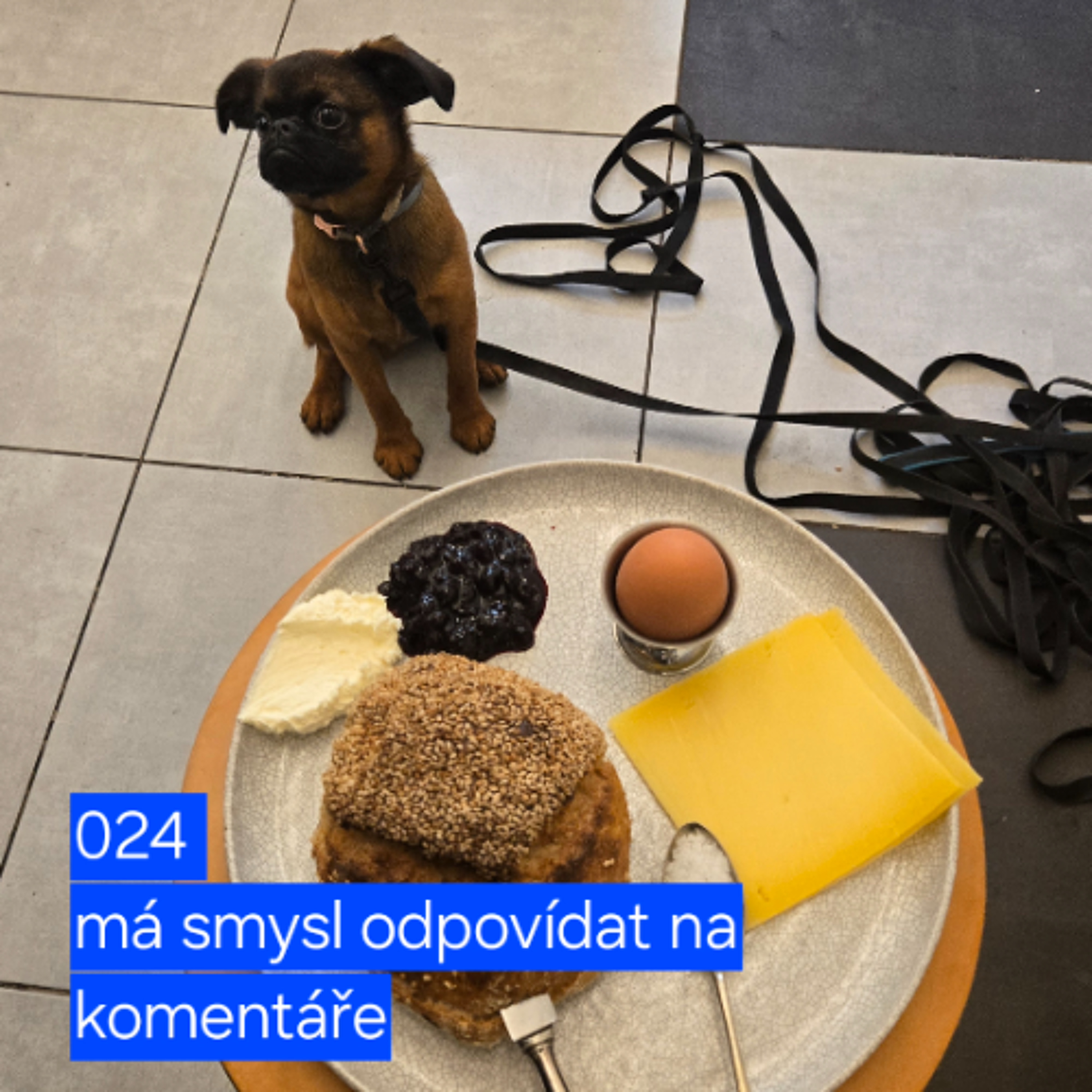 024 má smysl odpovídat na komentáře