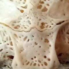 every raindrop's getting called to the sky again