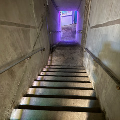 Techno Throwback June 2020