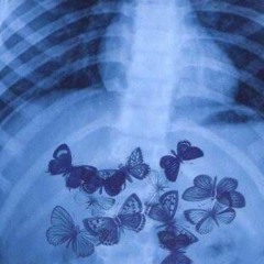 mariposa en la wata