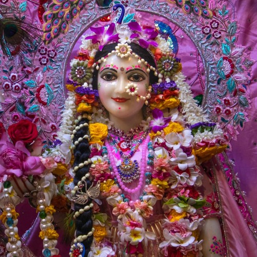 Pavan Nitai Chandra · Evening Shift Vrindavan · 8.2.23