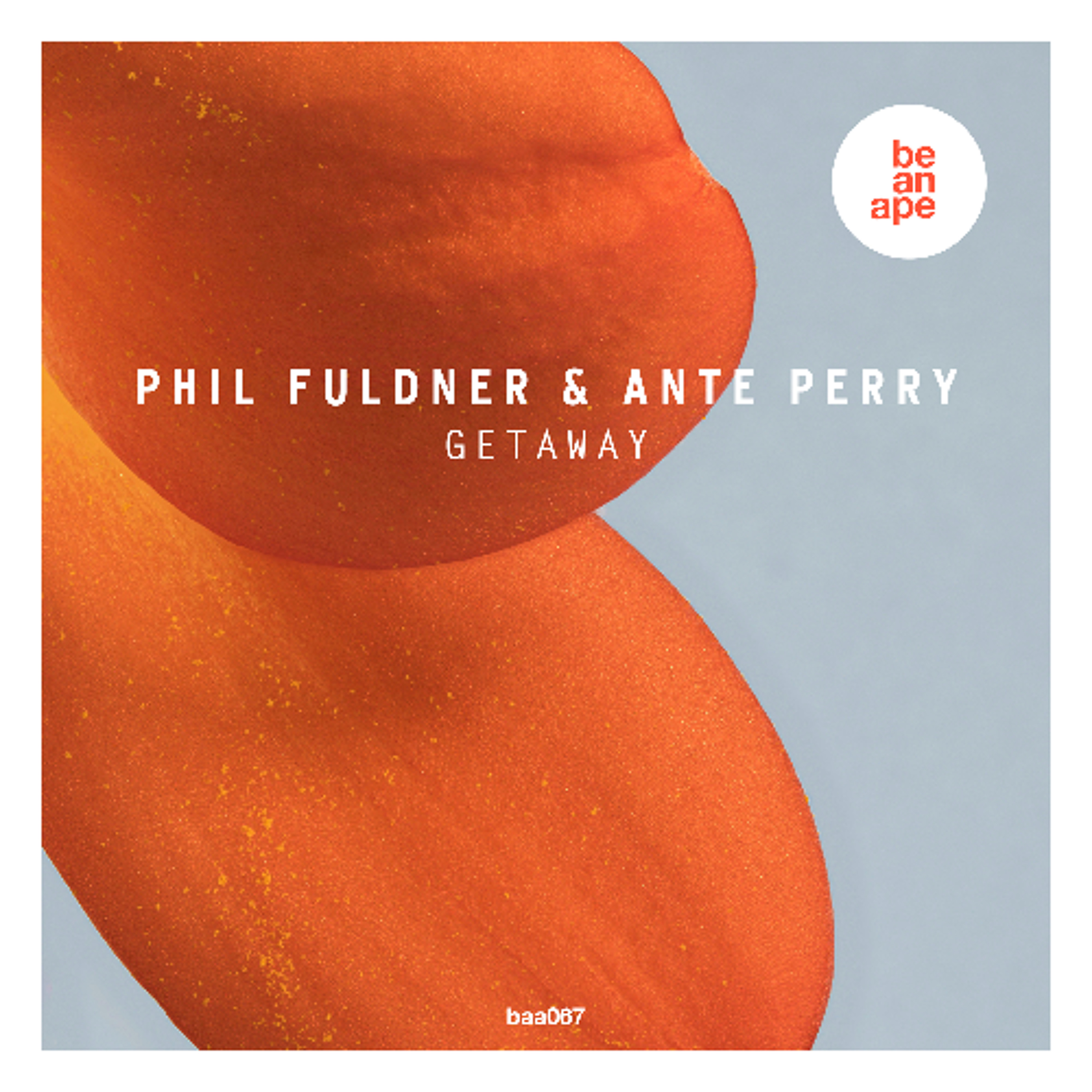 Ante Perry
