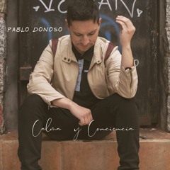 Pablo Donoso- Calma y Conciencia