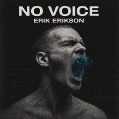 No Voice