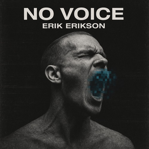 No Voice