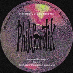 In Memory of DOC YOKO #87 : Unreleased Bootleg #3 Sun Shower (Nakaizumi's Sexual Mix)