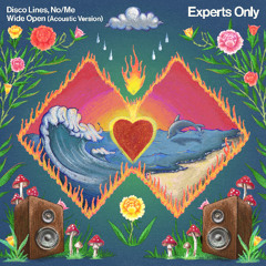 Disco Lines - Wide Open (ft. No/Me) [Acoustic Version]