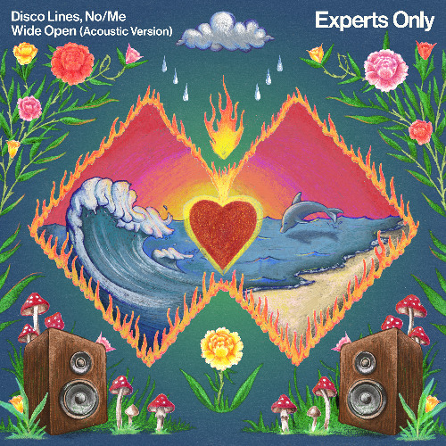 Disco Lines - Wide Open (ft. No/Me) [Acoustic Version]