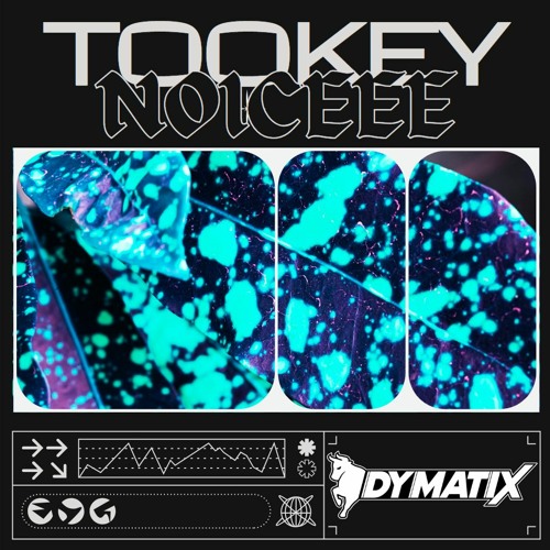 TOOKEY - NOICEEE (FREE DOWLOAD)