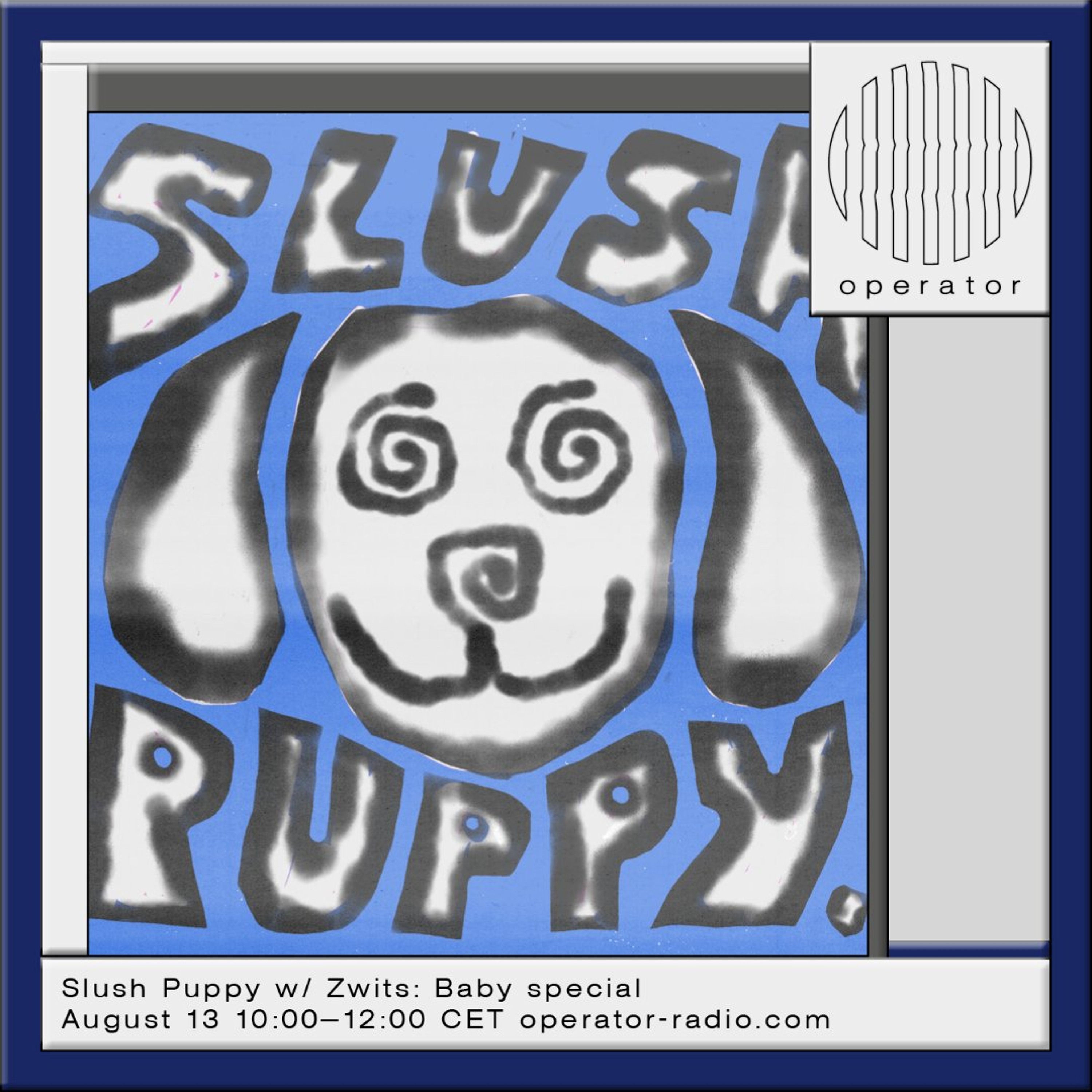 Slush Puppy w/ Zwits- Baby special - 13th August 2026 episode artwork
