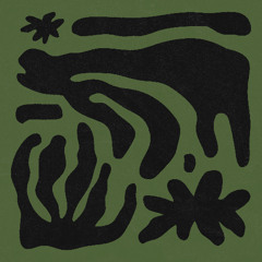 So Oishi - Canopy Rites (snippet)