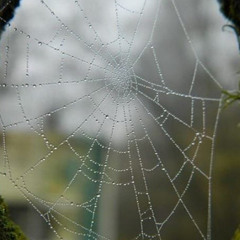 The Three Minute Windows!