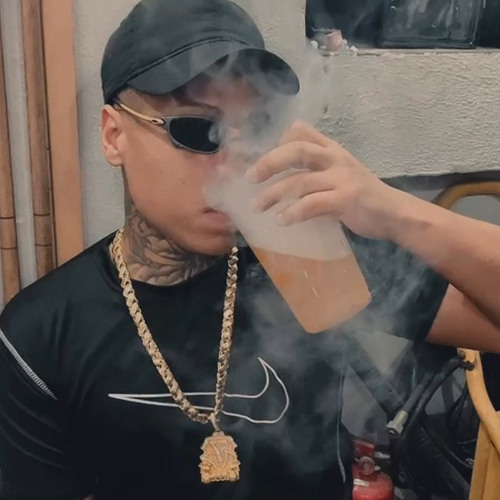 SELFIE DA XOTA - MC Digu & WR Original ( DJ Cleber & DJ Erik JP)