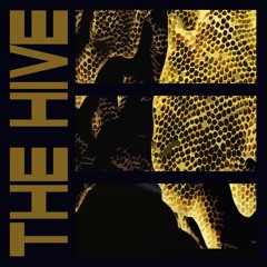 The Hive: Dig In The Dark Edit