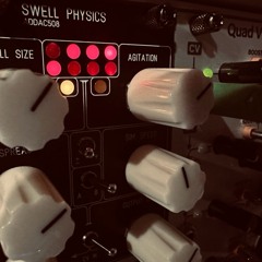 A Swell Physics Study