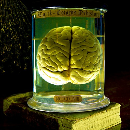 Tarek - Cotard Delusion
