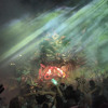 Sabura | Mystic Creatures 2025 | Freaky Forest DJ mix artwork - Electronic music tracklist cover image