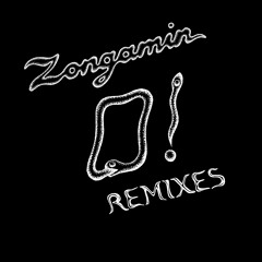 Premiere: Zongamin - Cosmic Serpent (Dreems Remix) [Multi Culti]