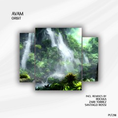 PREMIERE: AVAM - System (Santiago Rossi Extended Remix)