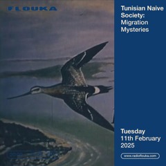 TNS: Migration Mysteries - 11/02/2025