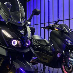 상무지구 도바오달려의 봄