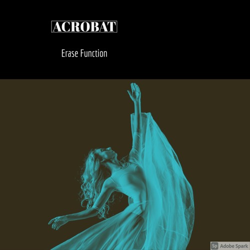Acrobat / Erase Function