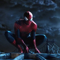 Friendly Neighbourhood Spiderman